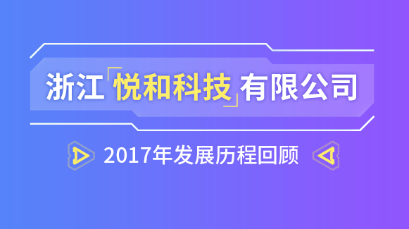 2017年发展历程回顾